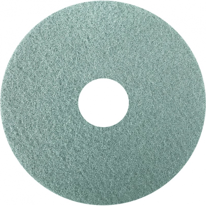 Алмазный пад KARCHER стандартный, зеленый, 17", 2 шт 8.441-295.0 8.441-305